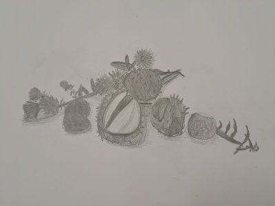 Okładka albumu: Zajęcia plastyczne 30.09.23